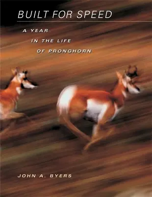 Built for Speed: Egy év a Pronghorn életében - Built for Speed: A Year in the Life of Pronghorn