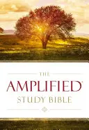 Amplified Study Bible, Keményfedeles - Amplified Study Bible, Hardcover