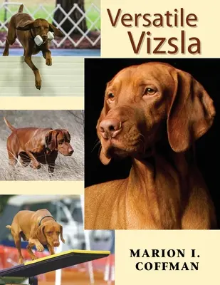 Sokoldalú vizsla - Versatile Vizsla