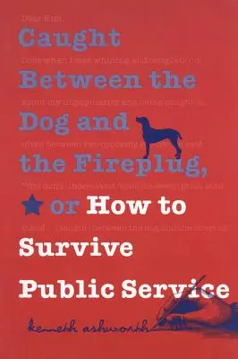 A kutya és a tűzcsap között, avagy hogyan éljük túl a közszolgálatot? - Caught Between the Dog and the Fireplug, or How to Survive Public Service