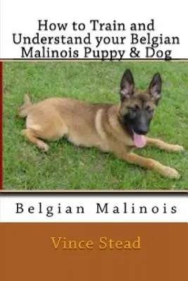 Hogyan képezzék és értsék meg belga malinois kölyökkutyájukat és kutyájukat? - How to Train and Understand Your Belgian Malinois Puppy & Dog