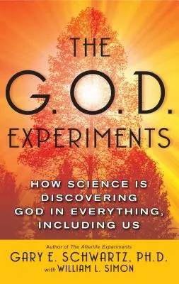 A G.O.D.-kísérletek: Hogyan fedezi fel a tudomány Istent mindenben, minket is beleértve - The G.O.D. Experiments: How Science Is Discovering God in Everything, Including Us