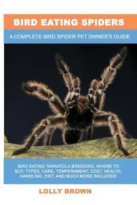 Madárevő pókok: Madárevő tarantula tenyésztés, hol lehet megvásárolni, típusok, gondozás, temperamentum, költségek, egészség, kezelés, étrend, és még sok minden más in - Bird Eating Spiders: Bird Eating Tarantula breeding, where to buy, types, care, temperament, cost, health, handling, diet, and much more in