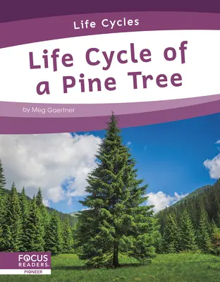 A fenyő életciklusa - Life Cycle of a Pine Tree