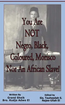 Te NEM vagy néger, fekete, színesbőrű, moriszkó, sem afrikai rabszolga! - You Are NOT Negro, Black, Coloured, Morisco Nor An African Slave!