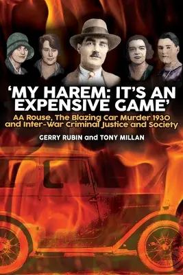 Az én háremem: Ez egy drága játék - My Harem: It's an Expensive Game