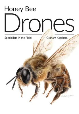 Méhrajok: Specialisták a terepen - Honey Bee Drones: Specialists in the Field