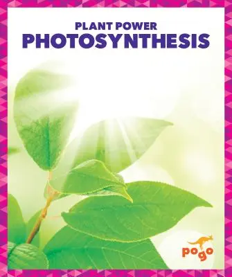 Fotoszintézis - Photosynthesis