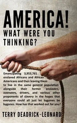 America! What Were You Thinking? 3 953 761 rabszolgasorba taszított afrikai és afroamerikai felszabadítása, majd hagyta őket, hogy ugyanabban az általános népességben éljenek. - America! What Were You Thinking?: Emancipating 3,953,761 enslaved Africans and African Americans and then leaving them to live in the same general pop