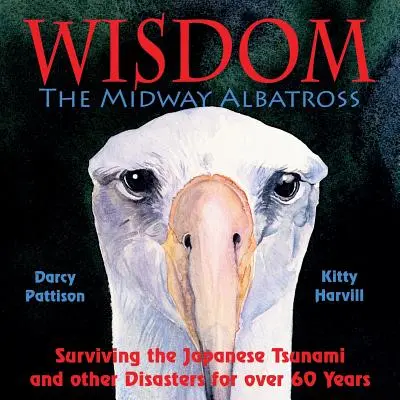 Bölcsesség, a Midway Albatrosz: A japán cunami és más katasztrófák túlélése több mint 60 éven át - Wisdom, the Midway Albatross: Surviving the Japanese Tsunami and Other Disasters for Over 60 Years