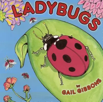 Katicabogarak - Ladybugs