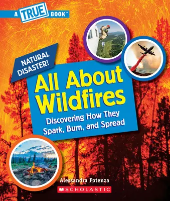 Mindent az erdőtüzekről (Igazi könyv: természeti katasztrófák) - All about Wildfires (a True Book: Natural Disasters)