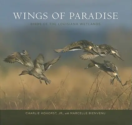 A paradicsom szárnyai: A louisianai vizes élőhelyek madarai - Wings of Paradise: Birds of the Louisiana Wetlands