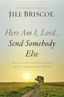 Itt vagyok én, Uram... Küldj valaki mást: Hogyan használ Isten hétköznapi embereket arra, hogy rendkívüli dolgokat tegyenek - Here Am I, Lord...Send Somebody Else: How God Uses Ordinary People to Do Extraordinary Things