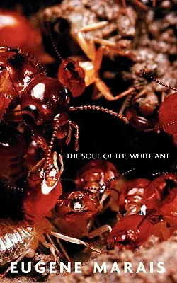 A fehér hangya lelke - The Soul of the White Ant