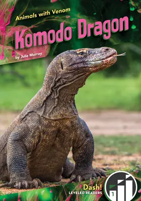 Komodói sárkány - Komodo Dragon