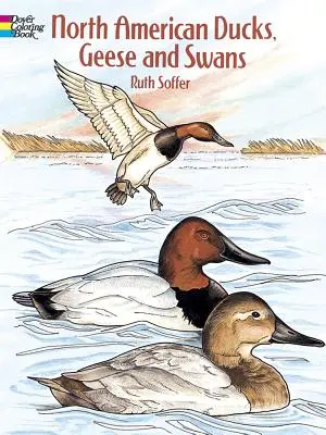 North American Ducks, Geese and Swans Coloring Book Színezőkönyv - North American Ducks, Geese and Swans Coloring Book