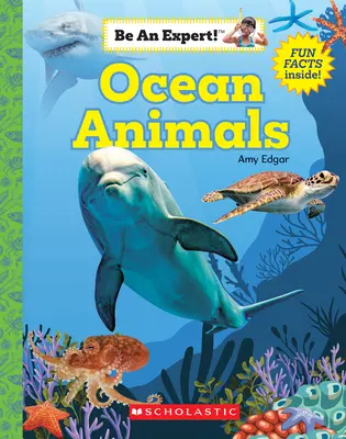 Óceáni állatok (Légy szakértő!) (Puhakötés) - Ocean Animals (Be an Expert!) (Paperback)