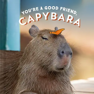 Jó barát vagy, víziló! - You're a Good Friend, Capybara