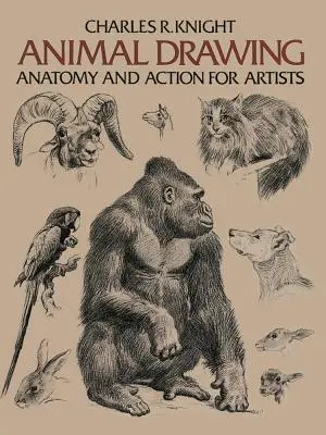 Animal Drawing: Anatómia és cselekvés művészeknek - Animal Drawing: Anatomy and Action for Artists