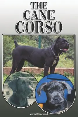 A Cane Corso: A Complete and Comprehensive Owners Guide To: Vásárlás, tulajdonlás, egészség, ápolás, képzés, engedelmesség, megértés és - The Cane Corso: A Complete and Comprehensive Owners Guide To: Buying, Owning, Health, Grooming, Training, Obedience, Understanding and