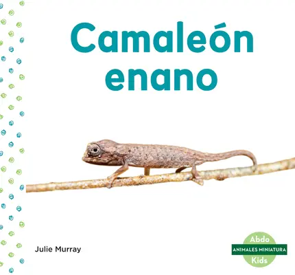 Camalen Enano (Levélkaméleon) - Camalen Enano (Leaf Chameleon)