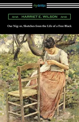 A mi niggerünk: avagy vázlatok egy szabad fekete életéből - Our Nig: or, Sketches from the Life of a Free Black