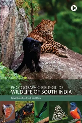 Fotográfiai terepikalauz - Dél-India vadvilága - Photographic Field Guide - Wildlife of South India