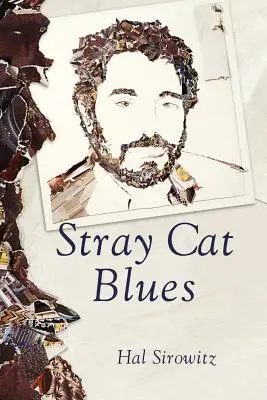 Kóbor macska blues - Stray Cat Blues