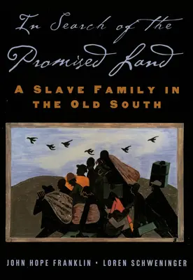 Az ígéret földjét keresve: Egy rabszolgacsalád a régi délen - In Search of the Promised Land: A Slave Family in the Old South