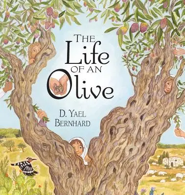 Egy olajbogyó élete - The Life of an Olive