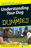 Kutyája megértése - Dummies for Dummies - Understanding Your Dog for Dummies