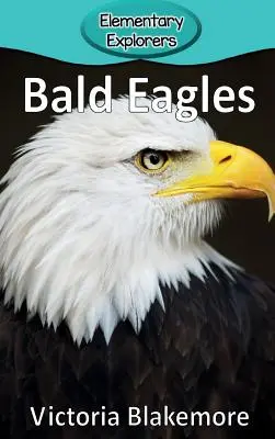 Kopasz sasok - Bald Eagles