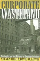 Vállalati pusztaság: A dezindusztrializáció tájképe és emlékezete - Corporate Wasteland: The Landscape and Memory of Deindustrialization