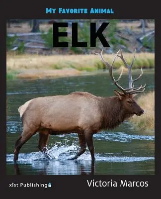 Kedvenc állatom: Elk - My Favorite Animal: Elk