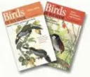 The Birds of Ecuador: Kétkötetes sorozat - The Birds of Ecuador: Two-Volume Set