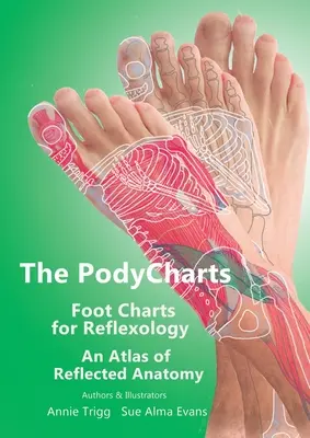 A PodyCharts lábdiagramok a reflexológiához: A tükrözési anatómia atlasza - The PodyCharts Foot Charts for Reflexology: An atlas of reflected anatomy