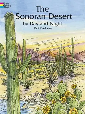 A Sonoran sivatag nappal és éjszaka Színezőkönyv - The Sonoran Desert by Day and Night Coloring Book