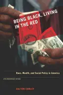 Feketének lenni, vörösben élni: Race, Wealth, and Social Policy in America, 10th Anniversary Edition, with a New Afterword - Being Black, Living in the Red: Race, Wealth, and Social Policy in America, 10th Anniversary Edition, with a New Afterword