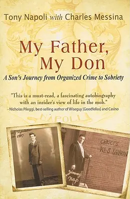 Apám, az én Donom: Egy fiú útja a szervezett bűnözéstől a józanságig - My Father, My Don: A Son's Journey from Organized Crime to Sobriety