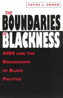 A feketeség határai: AIDS és a fekete politika összeomlása - The Boundaries of Blackness: AIDS and the Breakdown of Black Politics