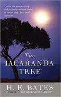 Jacaranda Tree, The