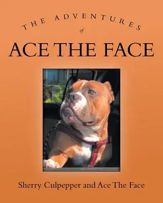 Az Ász az arc kalandjai - The Adventures of Ace The Face