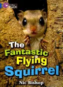 A fantasztikus repülő mókus - The Fantastic Flying Squirrel