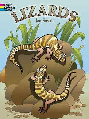Gyíkok Színezőkönyv - Lizards Coloring Book
