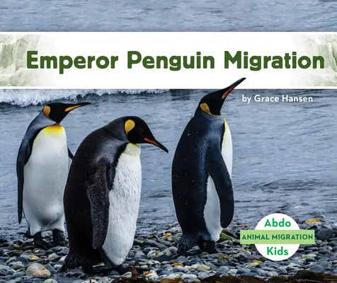 Császárpingvin vándorlás - Emperor Penguin Migration