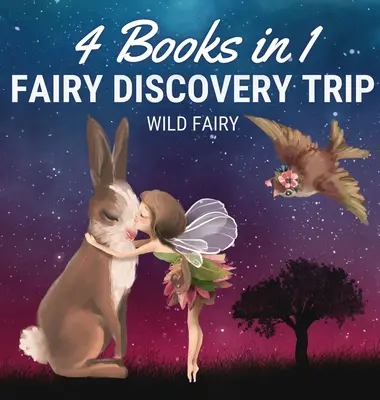 Tündér felfedezőút: 4 könyv 1 könyvben - Fairy Discovery Trip: 4 Books in 1