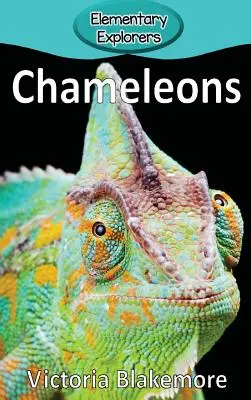 Kaméleonok - Chameleons