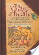 A bogár utazása: Világkörüli utazás Charles Darwinnal és a rejtélyek rejtélyének megoldása után, elbeszélve - The Voyage of the Beetle: A Journey Around the World with Charles Darwin and the Search for the Solution to the Mystery of Mysteries, as Narrate