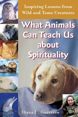 Mit taníthatnak nekünk az állatok a spiritualitásról: Inspiráló leckék vad és szelíd teremtményektől - What Animals Can Teach Us about Spirituality: Inspiring Lessons from Wild and Tame Creatures